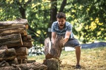 Will a Tree Grow Back…